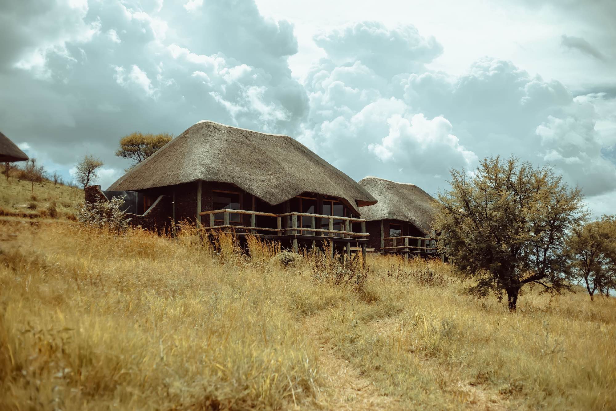 Mberesero Serengeti Central Lodge thumbnail 3